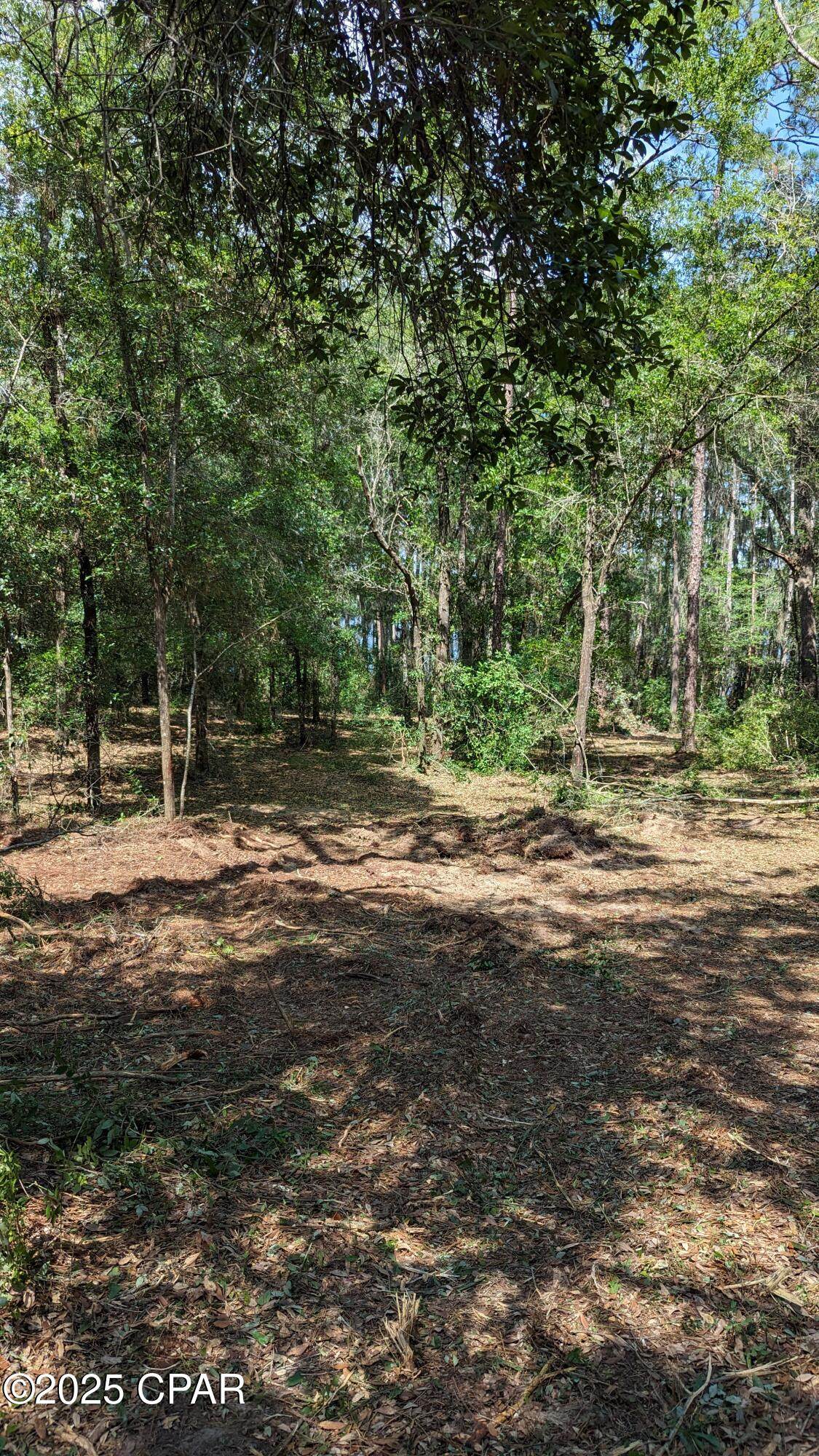 https://bt-photos.global.ssl.fastly.net/panamacity/orig_boomver_1_772674-5.jpg