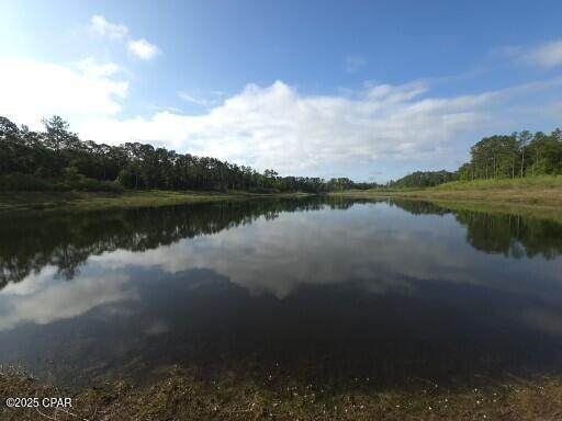 00 Payne Lake Road Road - Photo 1