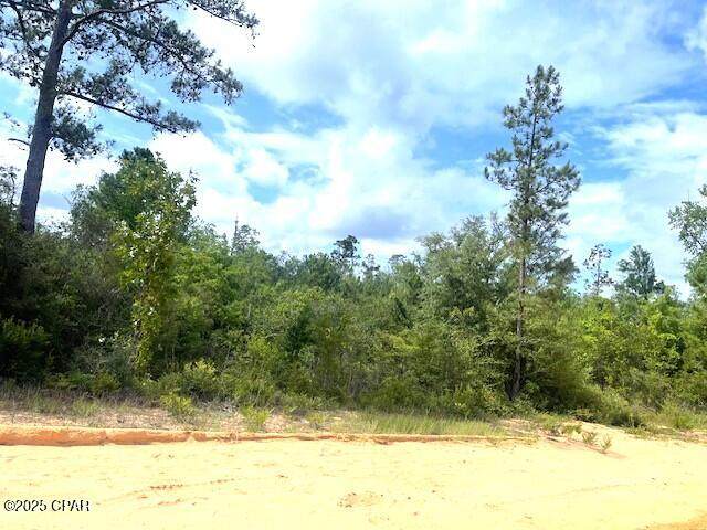 https://bt-photos.global.ssl.fastly.net/panamacity/orig_boomver_1_774405-2.jpg