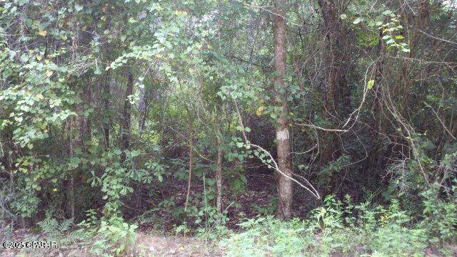 0 Tj Mitchell Road - Photo 1