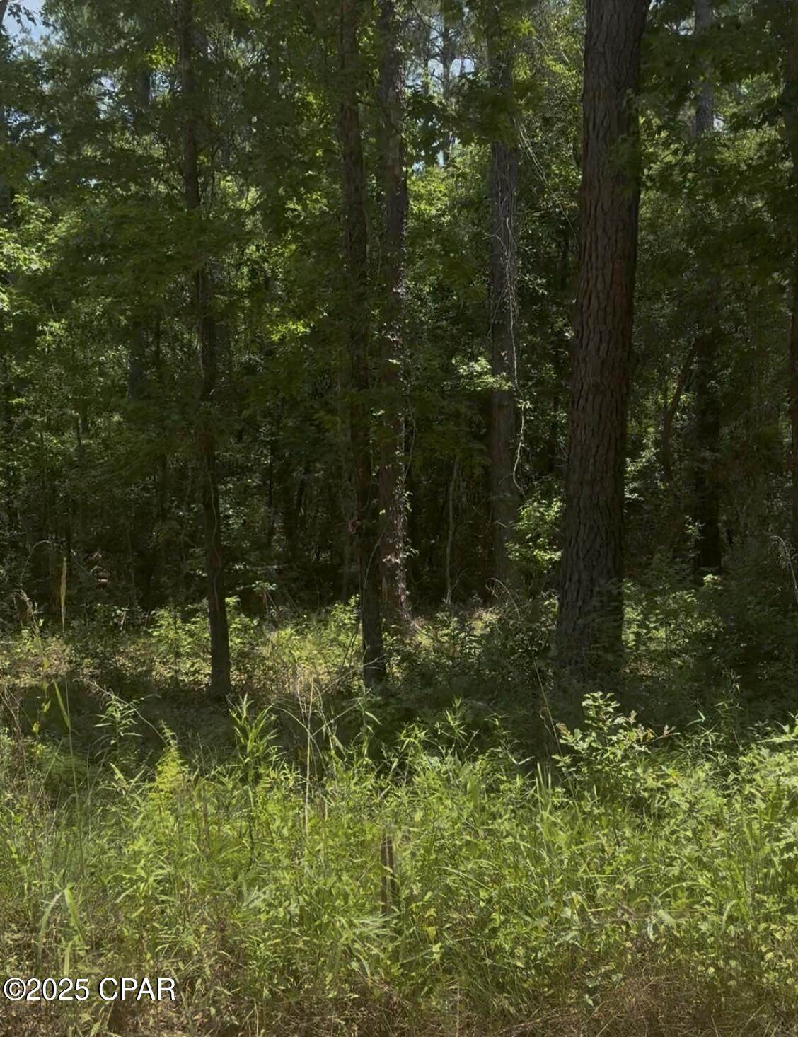 XXX Ben Road - Photo 1