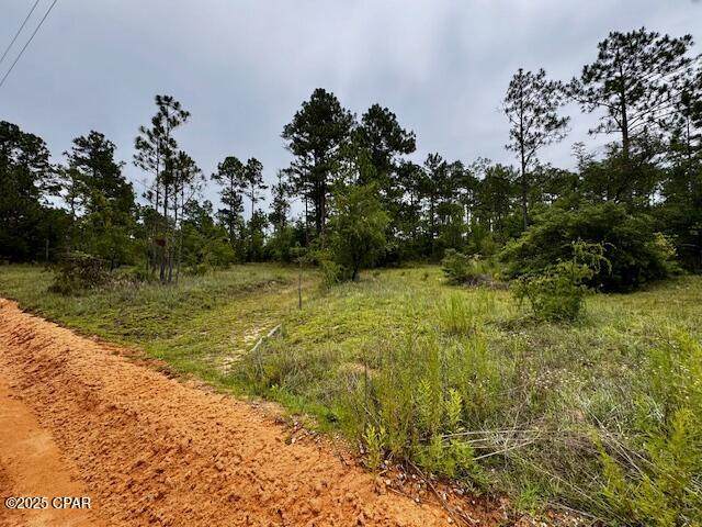 TBD Wildrose Lane - Photo 1