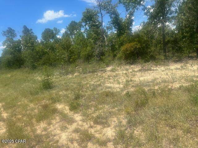 TBD Cachet Court - Photo 1