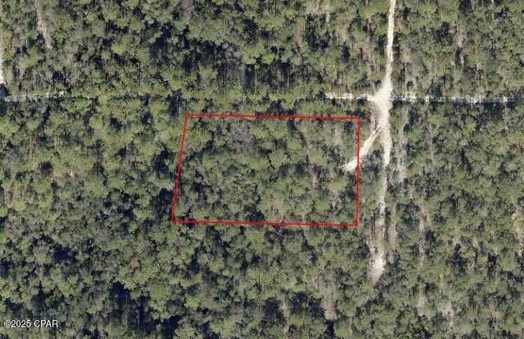 Lot 7 & 8 Yellow Poplar Avenue - Photo 1