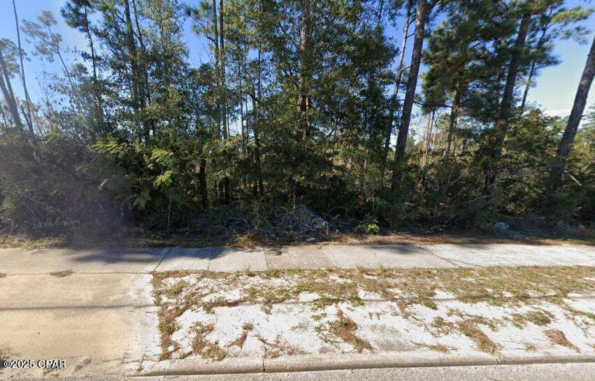 0 Hwy 231 - Photo 1