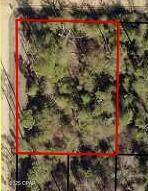 0 Ivydell Street - Photo 1