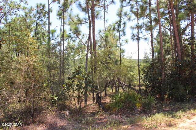 0 Sycamore Street - Photo 1