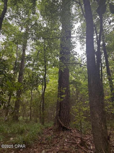 0 Pt Milligan Road - Photo 1