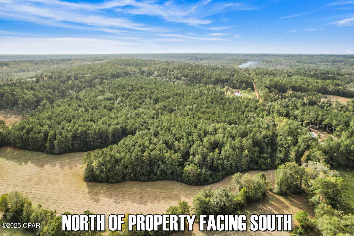 0 Ambus Lane - Photo 1