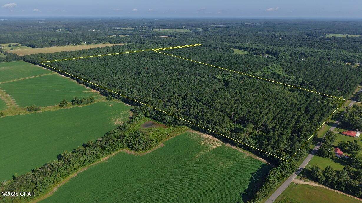 0 Co 147 Highway - Photo 1