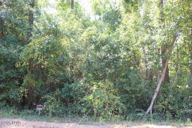 0 Hall Circle - Photo 1