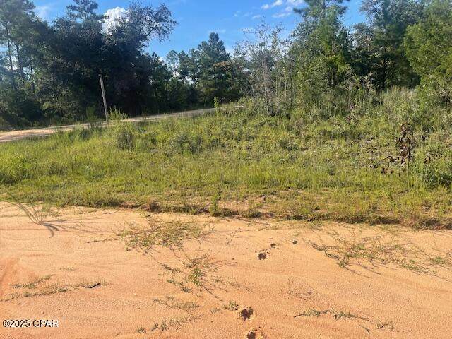 A Nezperce Drive - Photo 1