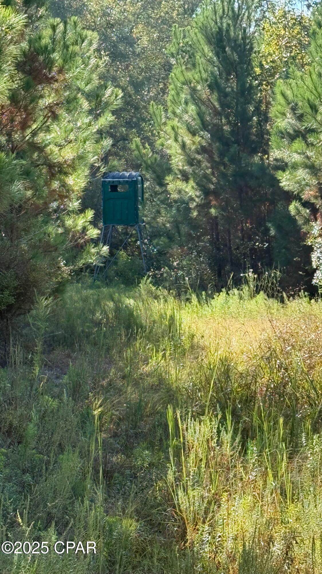 0 Hwy 2 - Photo 1
