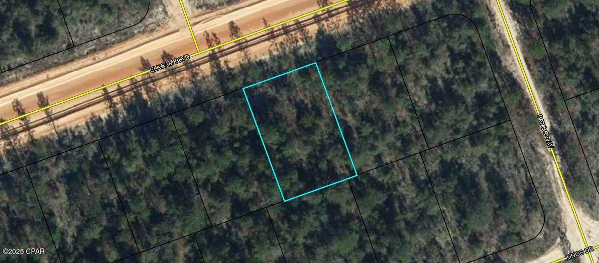 Lot 10 Elkcam Boulevard - Photo 1