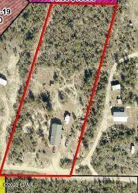 11927 Holly Lane - Photo 1