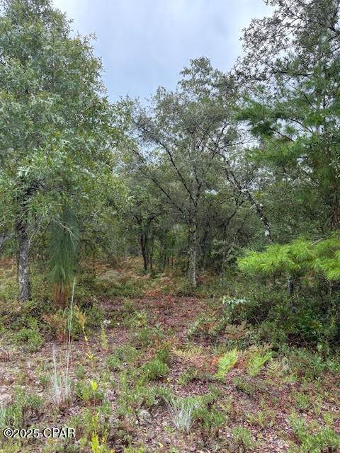 0 White Road - Photo 1