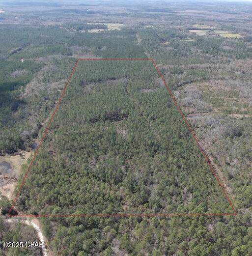 60 Acres Jw Miller Road - Photo 1
