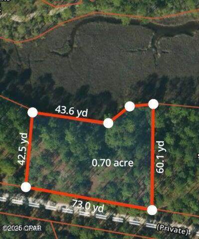 6408 Sundew Marsh Trail - Photo 1