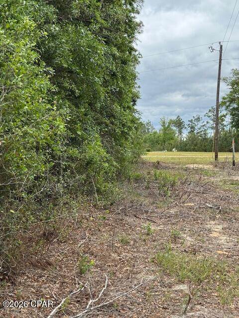 https://bt-photos.global.ssl.fastly.net/panamacity/orig_boomver_2_782396-2.jpg