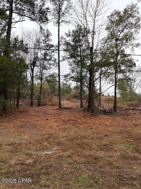 4593 Meadowview Road - Photo 1