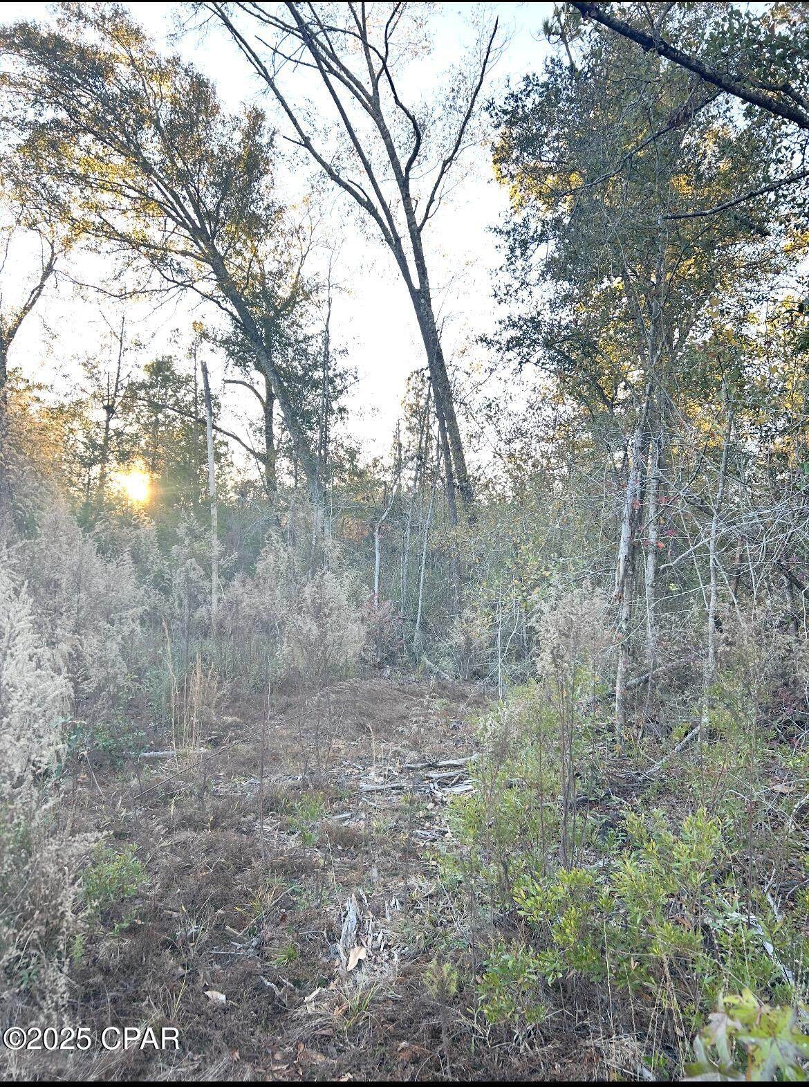 TBD Highway 90 - Photo 1