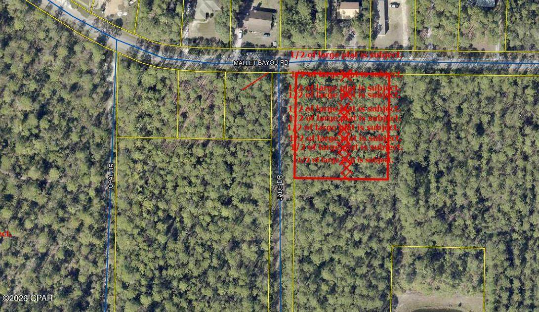 TBD Mallet Bayou Road - Photo 1