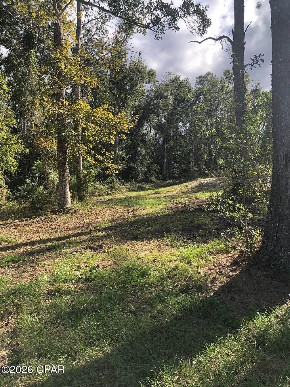 7322 Max Fleming Road - Photo 1