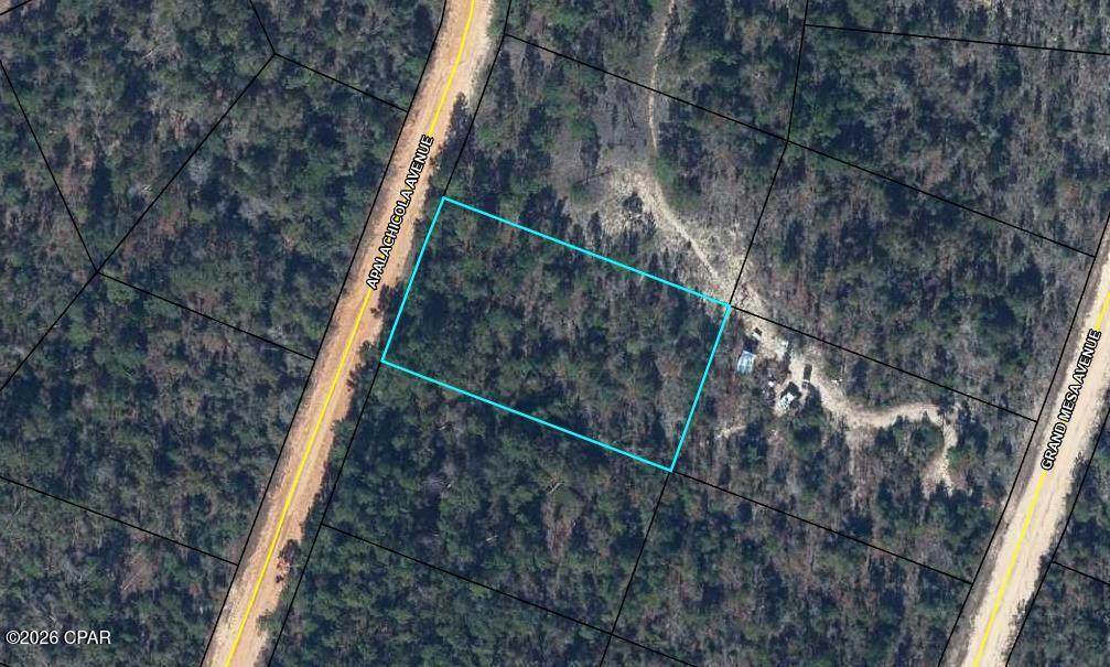 00 Apalachicola Avenue - Photo 1