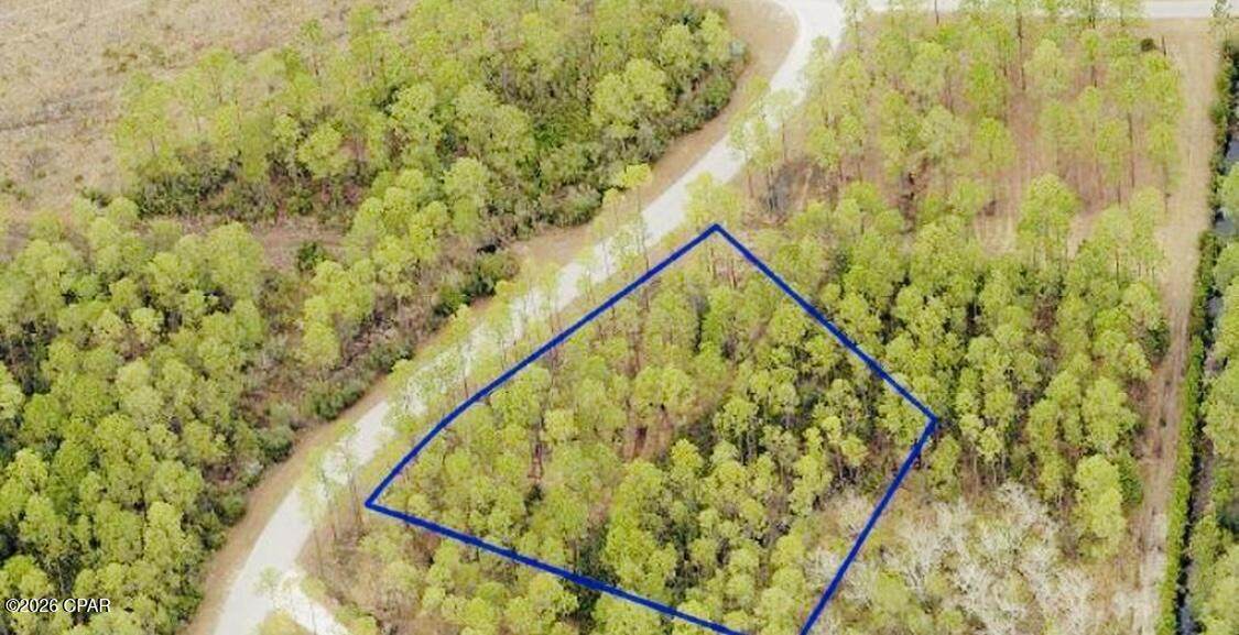 7642 Coastal Hammock Trail - Photo 1