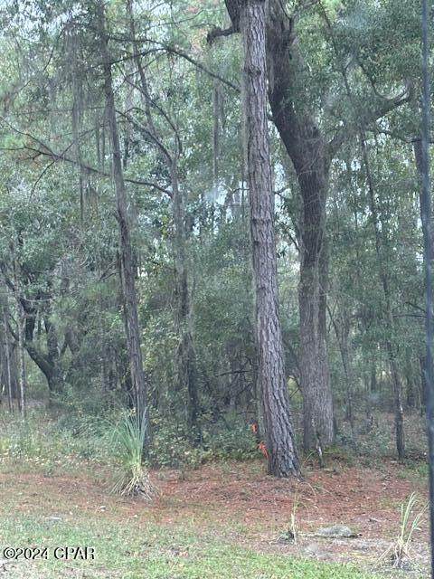 https://bt-photos.global.ssl.fastly.net/panamacity/orig_boomver_1_788302-2.jpg