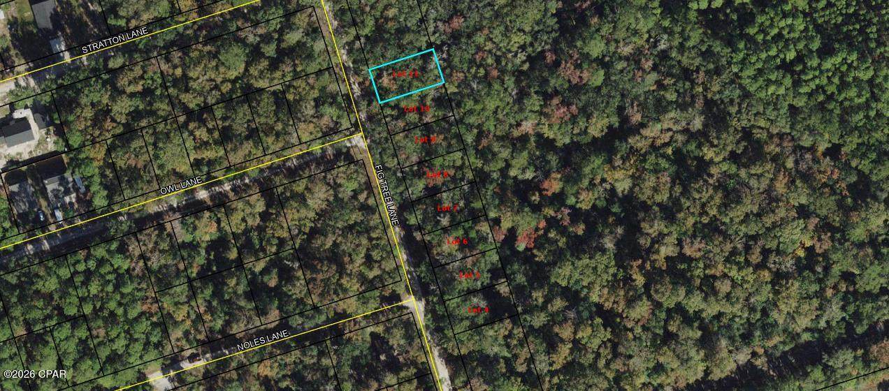 Lot 11 Fig Tree Lane - Photo 1