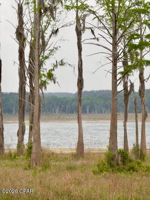 TBD Lakeshore Drive - Photo 1