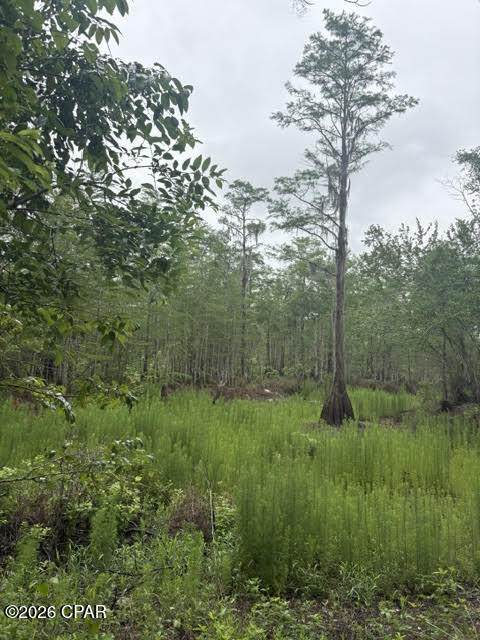 https://bt-photos.global.ssl.fastly.net/panamacity/orig_boomver_1_790571-2.jpg