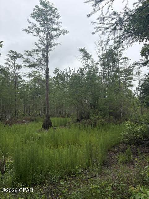 https://bt-photos.global.ssl.fastly.net/panamacity/orig_boomver_1_790571-2.jpg