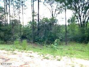 https://bt-photos.global.ssl.fastly.net/panamacity/orig_boomver_1_791211-2.jpg