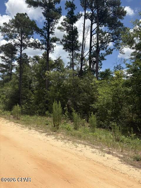 0 Tiger Avenue - Photo 1