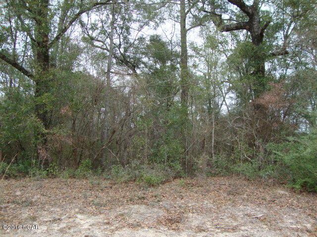 0 Pate Pond Road - Photo 1