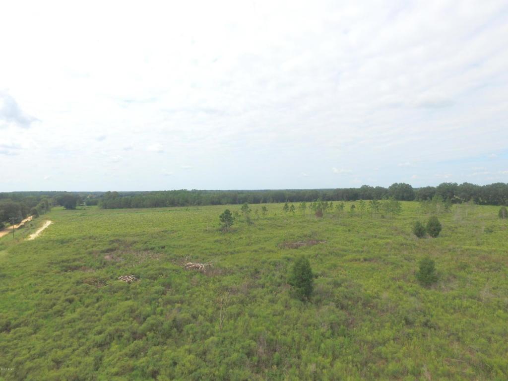 4733 Peanut Road - Photo 1