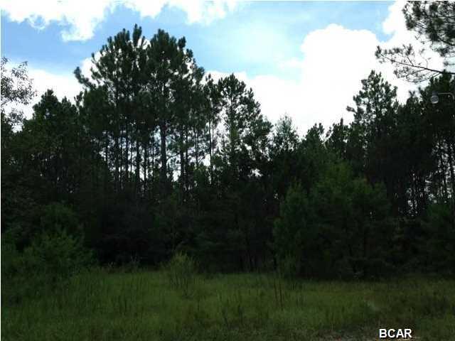 12109 Raccoon Road - Photo 1