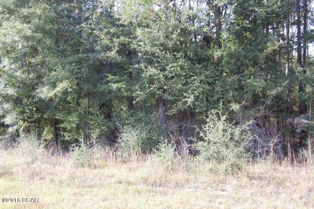 00 Blue Springs Road - Photo 1