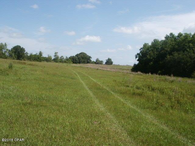 3223 Tom Messer Road - Photo 1
