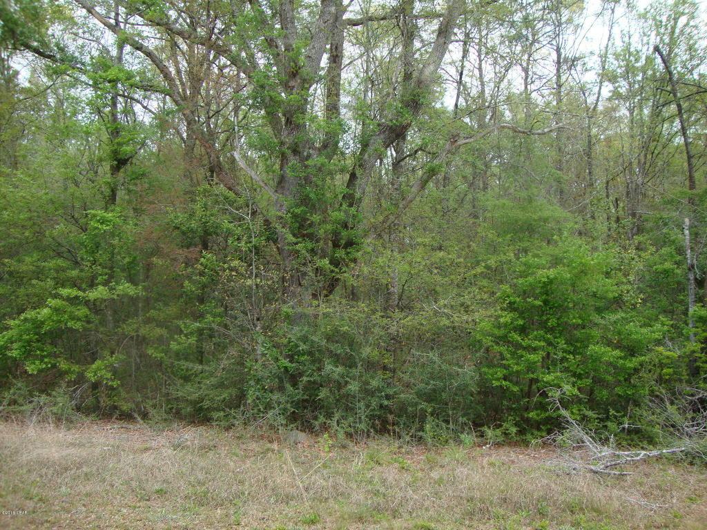 0 Hwy 177A - Photo 1