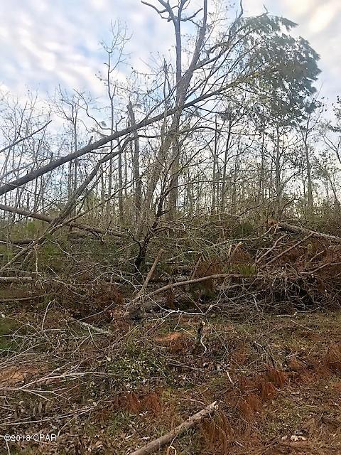 0000 Indianola Avenue - Photo 1