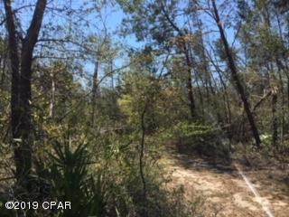 108 Lake Merial Trail - Photo 1