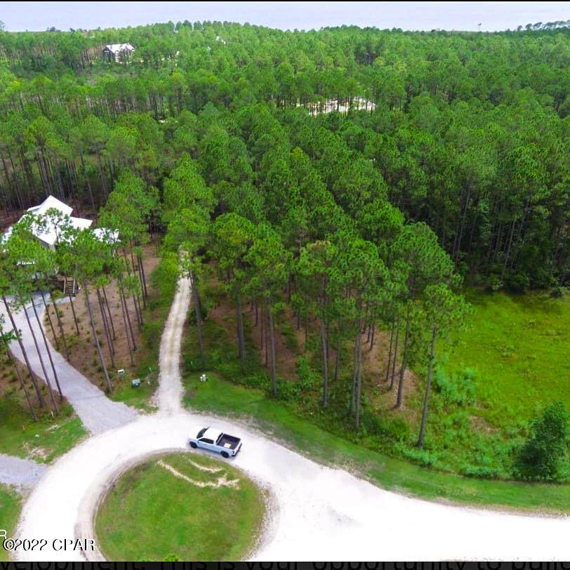 6503 Golden Aster Trail - Photo 1