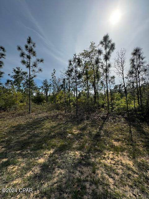 Lot 4 Blk 0307 Tripoli Drive - Photo 1