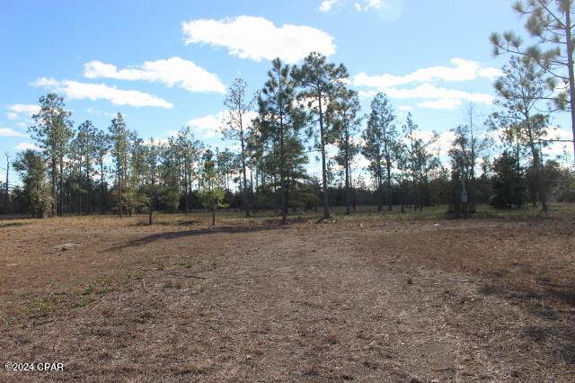 5015 County Road 274 - Photo 1