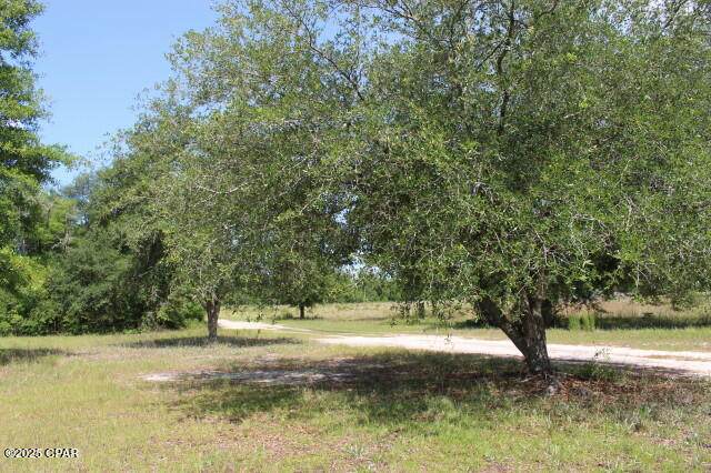 5929 Nichols Road - Photo 1