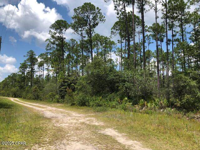 https://bt-photos.global.ssl.fastly.net/panamacity/orig_boomver_2_777855-2.jpg