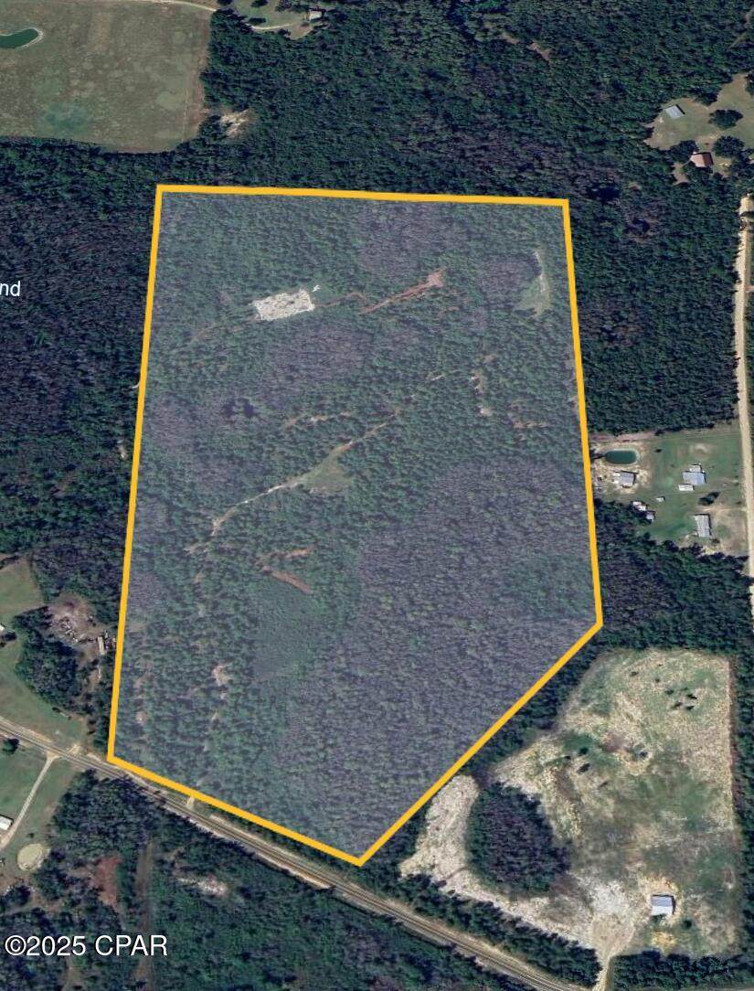 2445 Sandridge Church Road - Photo 1